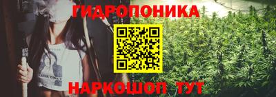 шишки Котовск