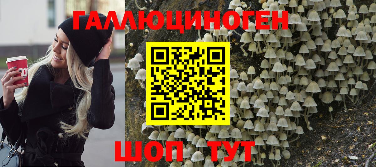 купить наркоту  Псилоцибиновые грибы GOLDEN TEACHER  Псилоцибиновые грибы Cubensis  Вход с VPN  Протвино 